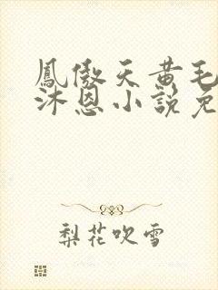凤傲天黄毛反派沐恩小说免费观看