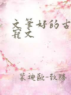 文笔好的古言甜宠文