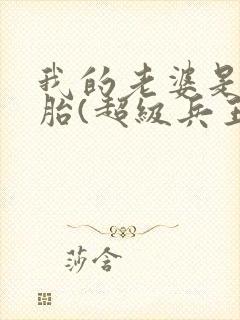 我的老婆是双胞胎(超级兵王在都市)