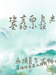 攻有白月光讨厌受的小说
