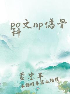 po文np伪骨科