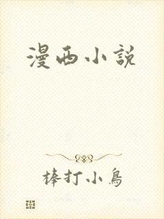 漫西小说