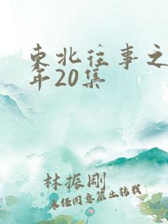 东北往事之二十年20集