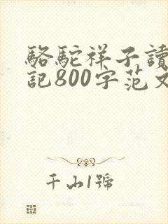 骆驼祥子读书笔记800字范文
