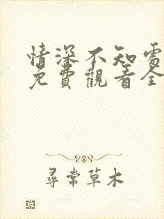 情深不知处短剧免费观看全集高清