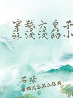 穿越六皇子赵懿苏浅浅的小说名字