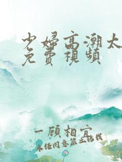 少妇高潮太爽了免费视频