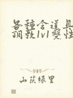 各种含道具高h调教1v1双性