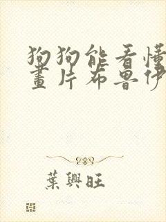 狗狗能看懂的动画片布鲁伊