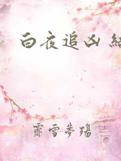 白夜追凶 结局