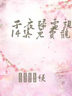 子夜归电视剧第14集免费观看