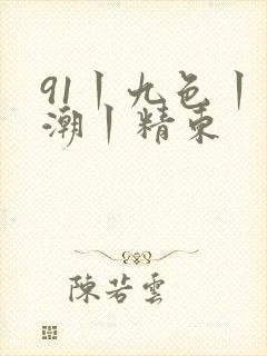91丨九色丨高潮丨精东