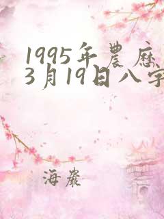 1995年农历3月19日八字算命