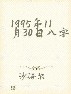1995年11月30日八字算命
