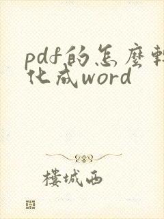 pdf的怎么转化成word