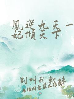 凤逆九天一品毒妃倾天下