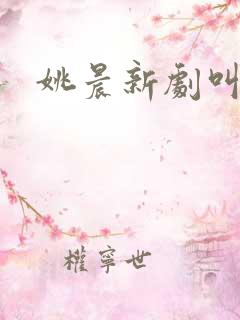 姚晨新剧叫什么