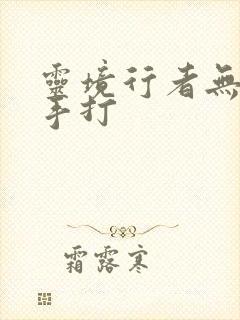 灵境行者无错字手打