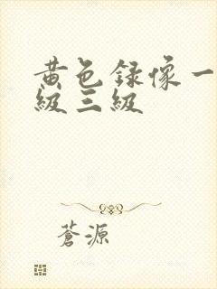 黄色录像一级二级三级