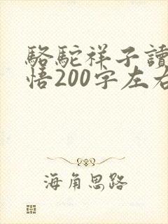 骆驼祥子读书感悟200字左右