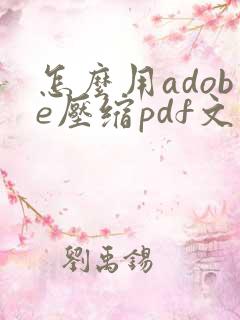 怎么用adobe压缩pdf文件大小