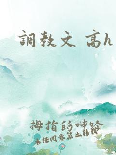 调教文 高h