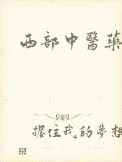 西部中医药杂志