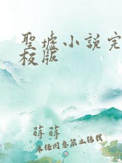 圣墟小说完整精校版