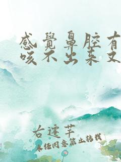 感觉鼻腔有异物咳不出来又咽不下去