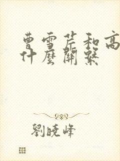 曹雪芹和高鹗是什么关系
