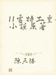 11处特工皇妃小说原著