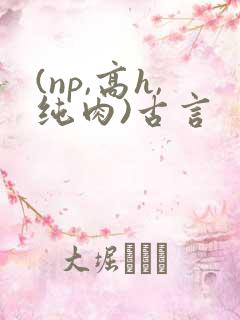 (np,高h,纯肉)古言