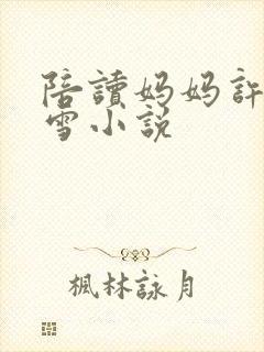 陪读妈妈许婷李雪小说