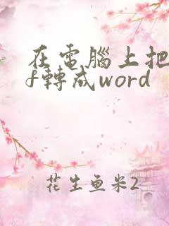 在电脑上把pdf转成word