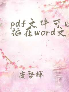 pdf文件可以插在word文档里面吗