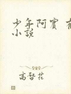 少年阿宾 有声小说