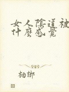 女人阴道被舔是什么感觉