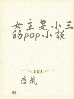 女主是小三怀孕的pop小说
