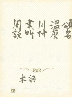 周聿川温颂的小说叫什么名字
