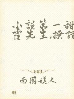 小说第一甜妻:霍先生,撩错了免费阅读