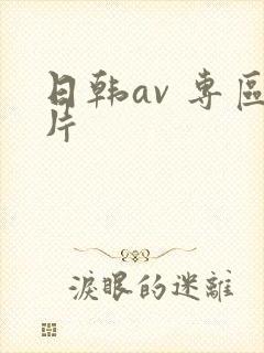 日韩av 专区片