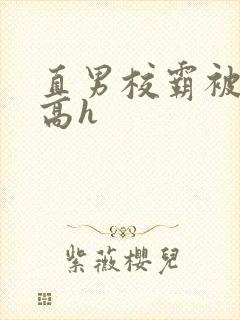 直男校霸被啪哭高h