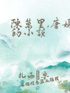 陈万里,唐嫣然的小说