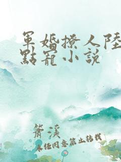 军婚撩人陆少轻点宠小说