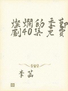 灿烂的季节电视剧40集免费观看全集