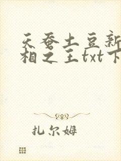 天蚕土豆新书万相之王txt下载