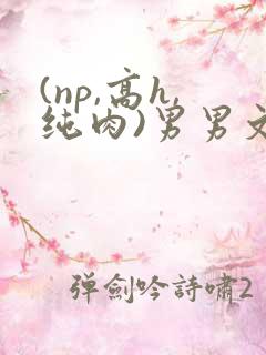 (np,高h,纯肉)男男文