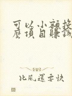 可以小额投资什么项目赚钱