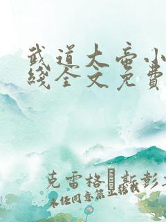 武道大帝小说在线全文免费阅读