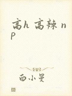 高h 高辣 np